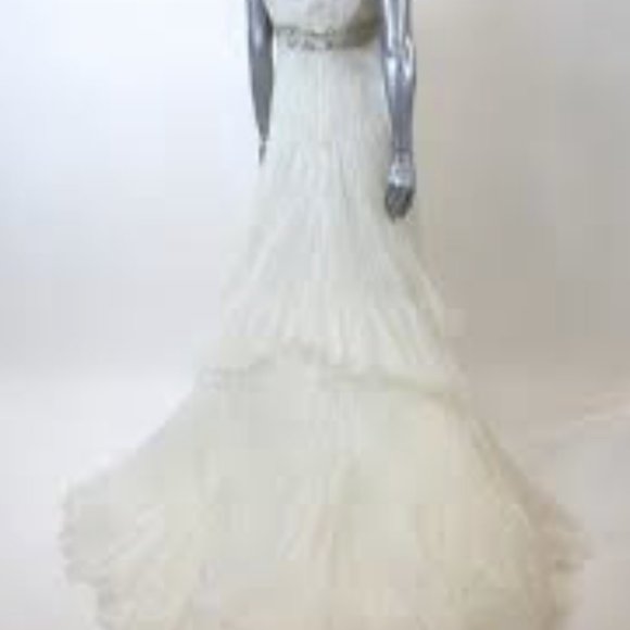 Pronovias Manuel Moto Wedding Dress - Picture 7 of 7